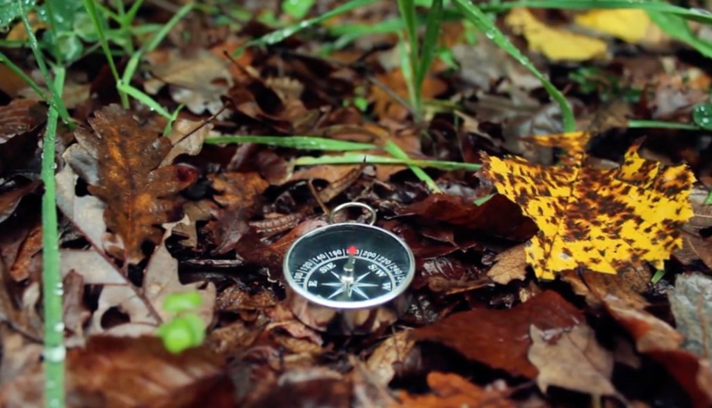 A small compass resting on damp autumn leaves and grass